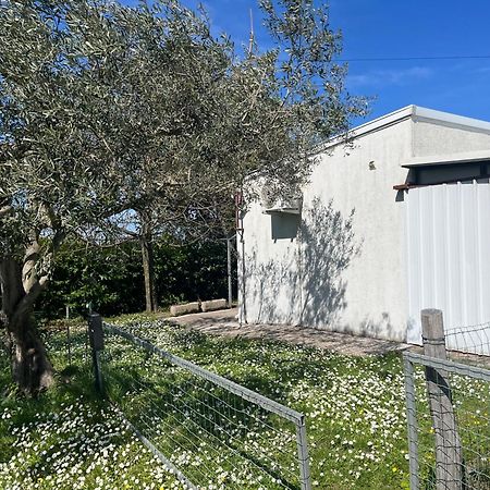Apartma Korelc Koper Exterior photo